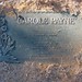 Carole Payne Photo 20