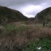 Elaine Galloway Photo 19