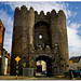 Lawrence Ireland Photo 12