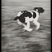 Joy Massey Photo 19