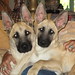 Kerry Prather Photo 10