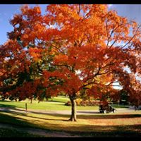 Jean Field Photo 39
