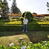 Harry Lam Photo 34