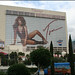 Toni Clark Photo 9