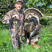 Bill Schroeder Photo 31