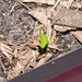 Dale Martin Photo 27