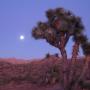 Ron Ramirez Photo 38
