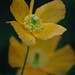 Elizabeth Plante Photo 10