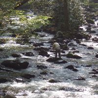 James Chandler Photo 32