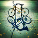Mohammad Riza Photo 15