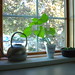 Jane Bean Photo 13