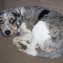 Anita Mills Photo 36