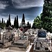 Bernardo Zaragoza Photo 2