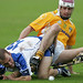 Kelly Mcgrath Photo 18