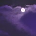Victoria Moon Photo 38