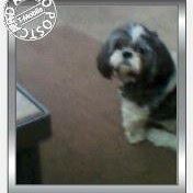 Nancy Coffman Photo 5