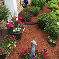 Sharon Conley Photo 34