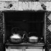 Nancy Rayburn Photo 24