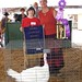 Paula Randolph Photo 17