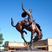 Wallace Smith Photo 49