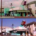Patricia Vaughn Photo 11