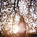 Harriet Light Photo 10