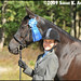 Mary Canter Photo 29