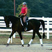Susan Knutson Photo 24