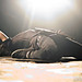 Stephanie Gee Photo 14