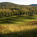 Darrel Morrison Photo 13