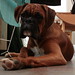 Ruby Wash Photo 3