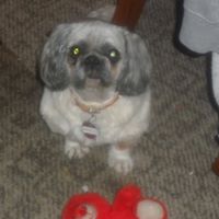 Dorthy Robinson Photo 1
