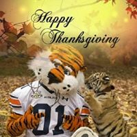 Patricia Echols Photo 16
