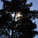 Roger Heath Photo 37