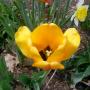 Nancy Walton Photo 36