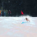 Dawn Steiner Photo 20