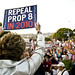 Kelly Allred Photo 29