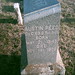 Austin Reed Photo 24