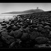 Ray Castle Photo 37