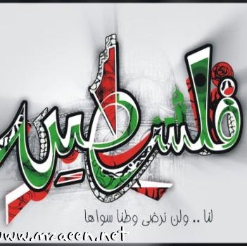 Mahmoud Jaber Photo 23