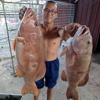 Stanley Ku Photo 8