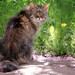 Amy Spring Photo 15