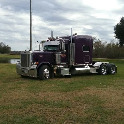 David Mcmichael Photo 25