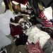 Robert Levan Photo 11