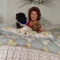 Joyce Lindquist Photo 10