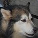 Joanne Mackey Photo 20