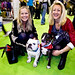 Joanne Webb Photo 27