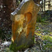 Mary Hawkins Photo 48