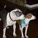 Teri Brock Photo 10