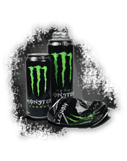 Kyle Busch Photo 12